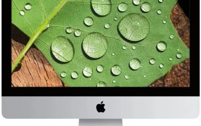 Ремонт Apple iMac 21.5» Retina 4K [MK452]